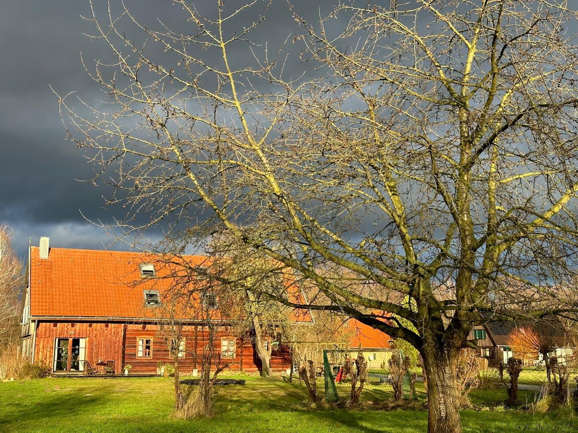 Liljas Haus Im Spreewald Leilighet Burg  Eksteriør bilde