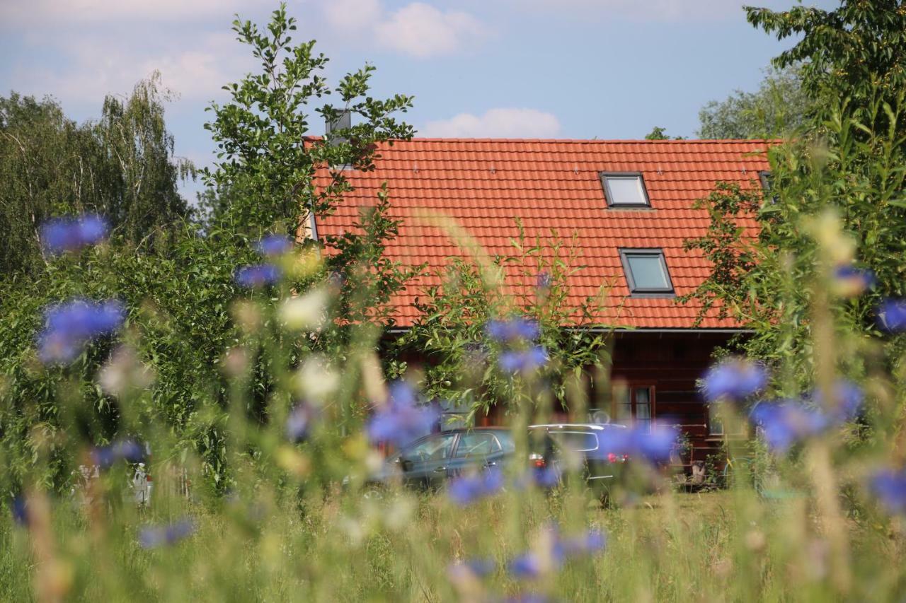 Liljas Haus Im Spreewald Leilighet Burg  Eksteriør bilde